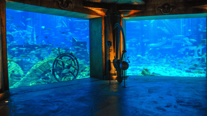 A large aquarium window showcasing 
