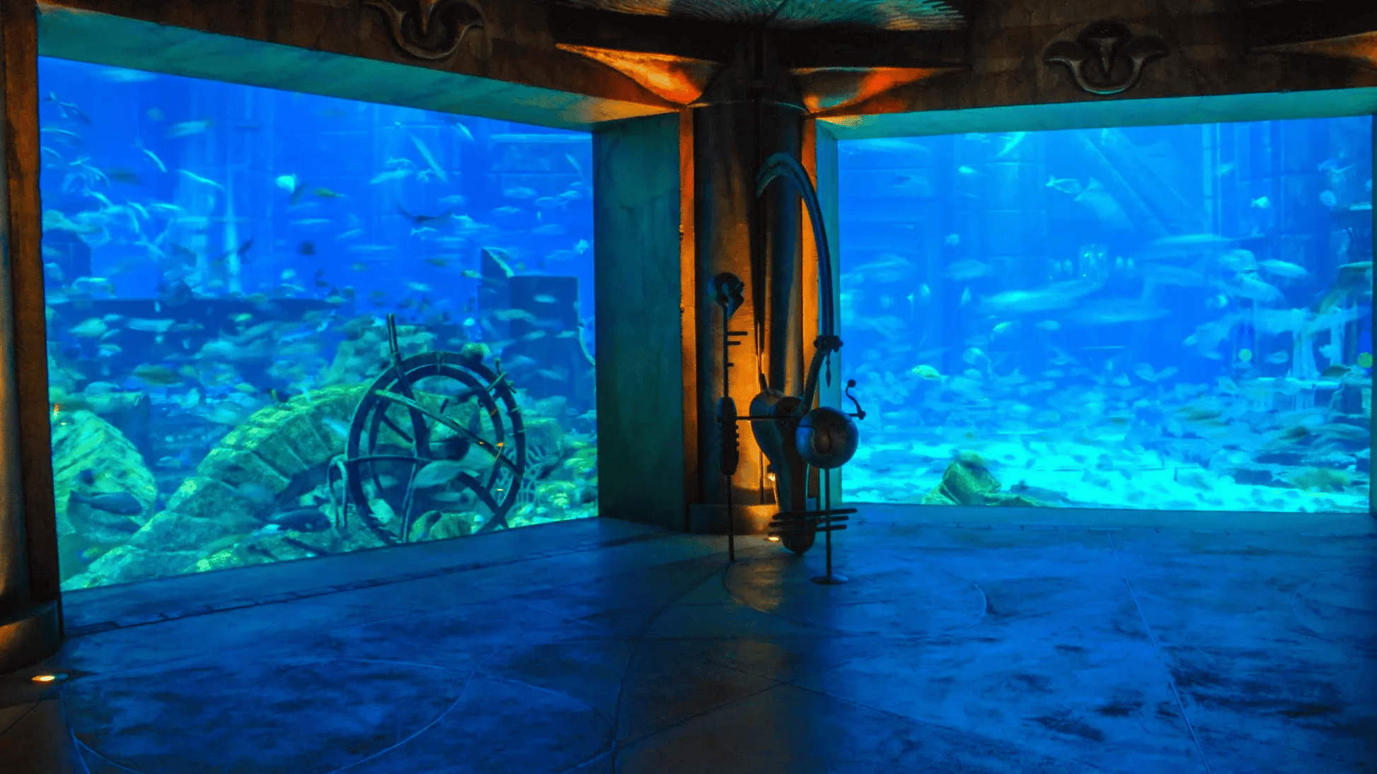 A large aquarium window showcasing 