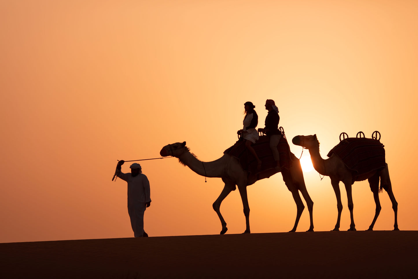 Desert Safari Premium