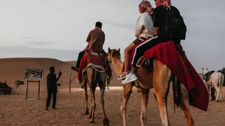 Desert Safari in Dubai