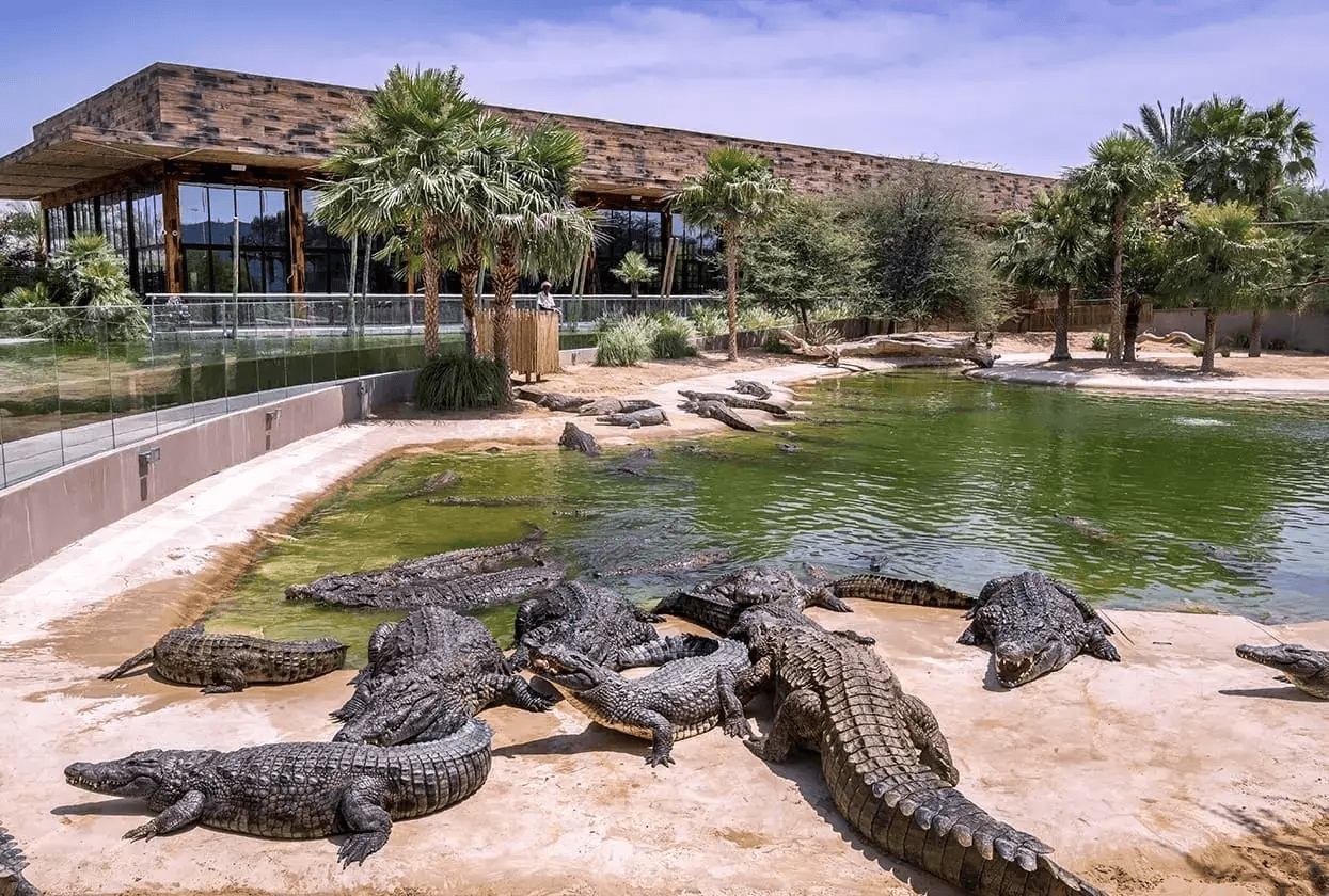 Dubai Crocodile Park